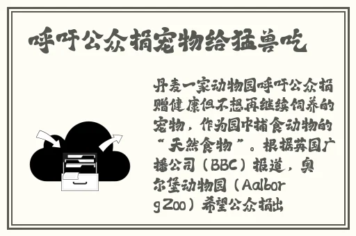 巨无霸水蜜桃阿嫂